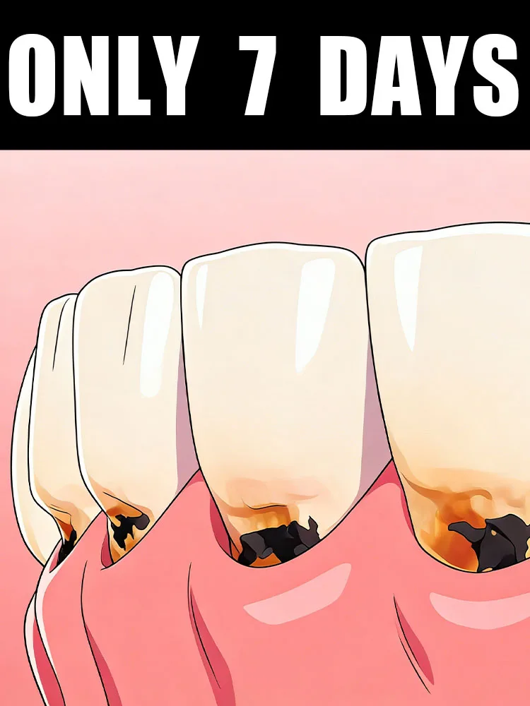 Prevent small cavities, stop decay before it starts.
Prevent small cavities, stop decay before it starts.