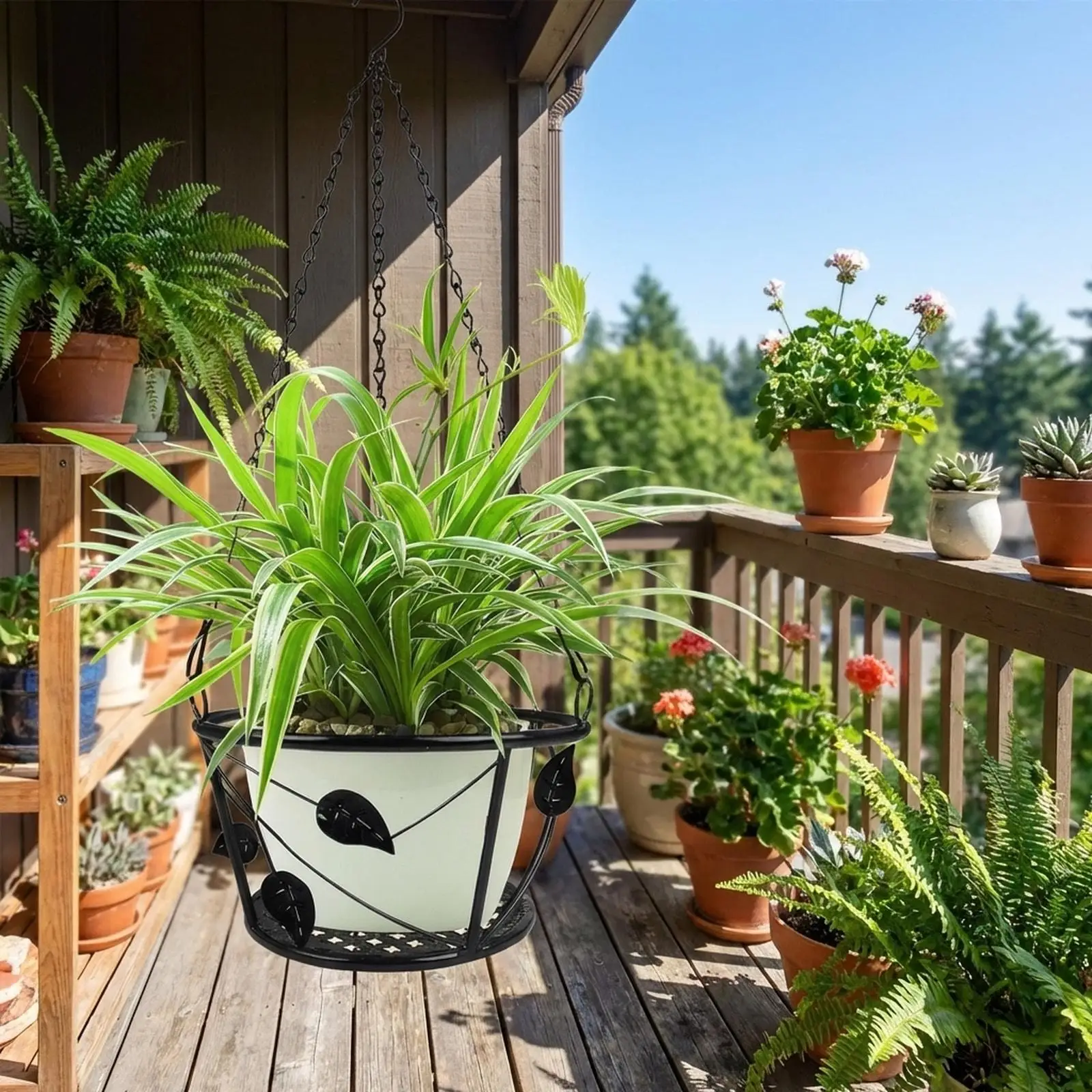 Hanging Metal Plant Basket with Strong Chain Planter Pot Shelf for Home Balcony Patio Garden Decoration
Hanging Metal Plant Basket with Strong Chain Planter Pot Shelf for Home Balcony Patio Garden Decoration