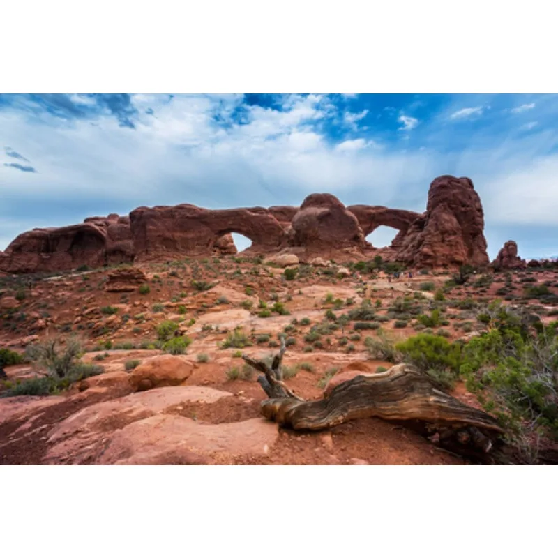 Дневные ходовые огни указателя поворота Tiy в сборе DRL 8162053060 8161053060, светодиодные противотуманные фары для Lexus Is300/Is350/Is200T 2017-2
Дневные ходовые огни указателя поворота Tiy в сборе DRL 8162053060 8161053060, светодиодные противотуманные фары для Lexus Is300/Is350/Is200T 2017-2