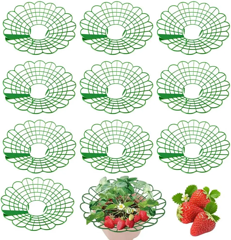 Pack of 10 Strawberry ripeners, Strawberry Protection, Strawberry Supports, Strawberry Grid, Removable, Strawberry Protection
Pack of 10 Strawberry ripeners, Strawberry Protection, Strawberry Supports, Strawberry Grid, Removable, Strawberry Protection