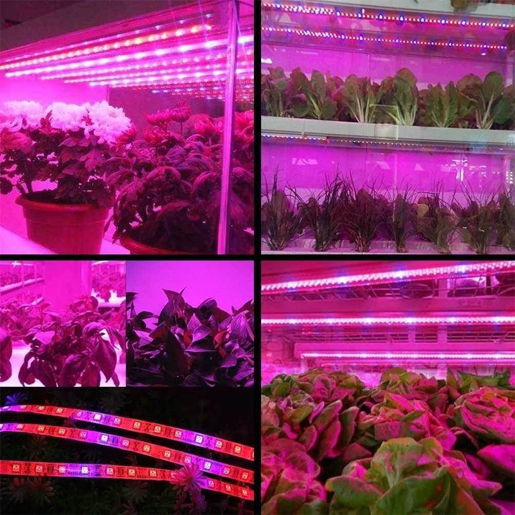 LED Plant Growth Light String 5050 SMD LED Light Waterproof Plant Light for Greenhouse
LED Plant Growth Light String 5050 SMD LED Light Waterproof Plant Light for Greenhouse