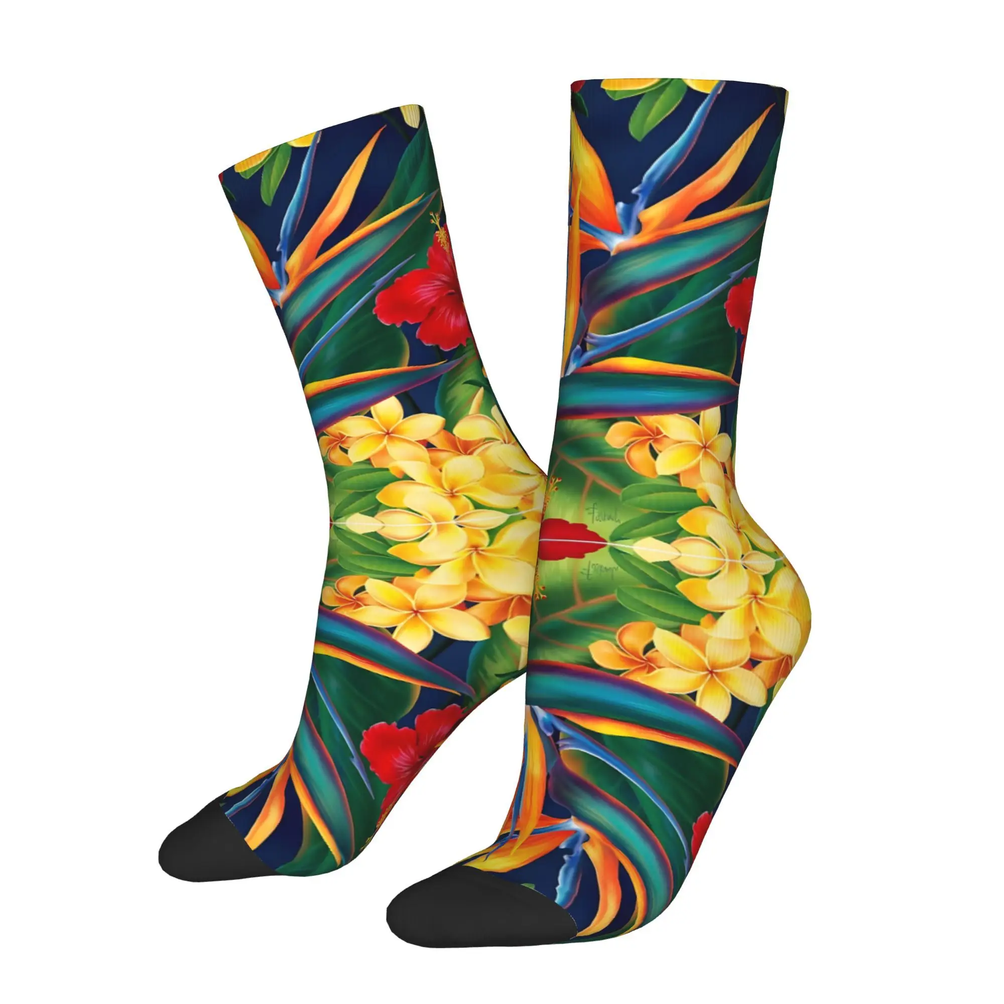 Tropical Paradise Hawaiian Birds Of Paradise Illustration Kawaii Socks Sports Shopping Hiking Travel Gym Cartoon Pattern Socks
Tropical Paradise Hawaiian Birds Of Paradise Illustration Kawaii Socks Sports Shopping Hiking Travel Gym Cartoon Pattern Socks