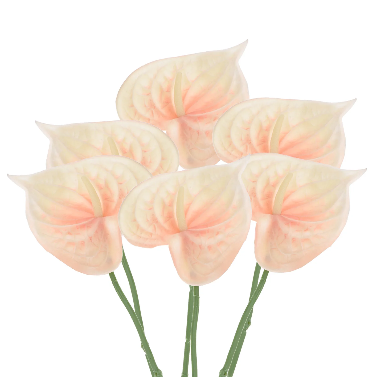 6pcs Artificial Anthurium Lily Flowers Permanent Flower Floral Arrangements Bouquet for Home Decor Bridal Festival Party 13"
6pcs Artificial Anthurium Lily Flowers Permanent Flower Floral Arrangements Bouquet for Home Decor Bridal Festival Party 13"