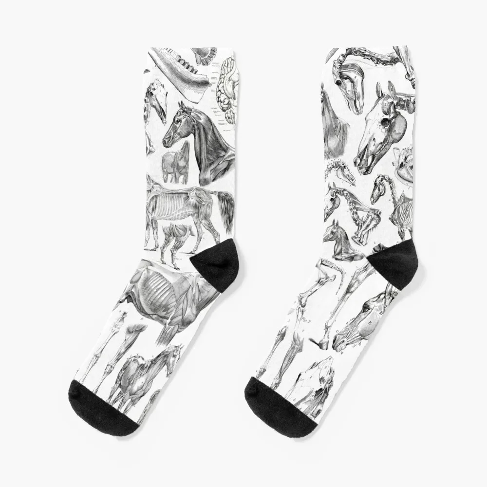 Horse Anatomy (black on white) Socks fashionable floor christmass gift aesthetic Socks Men's Women's
Horse Anatomy (black on white) Socks fashionable floor christmass gift aesthetic Socks Men's Women's