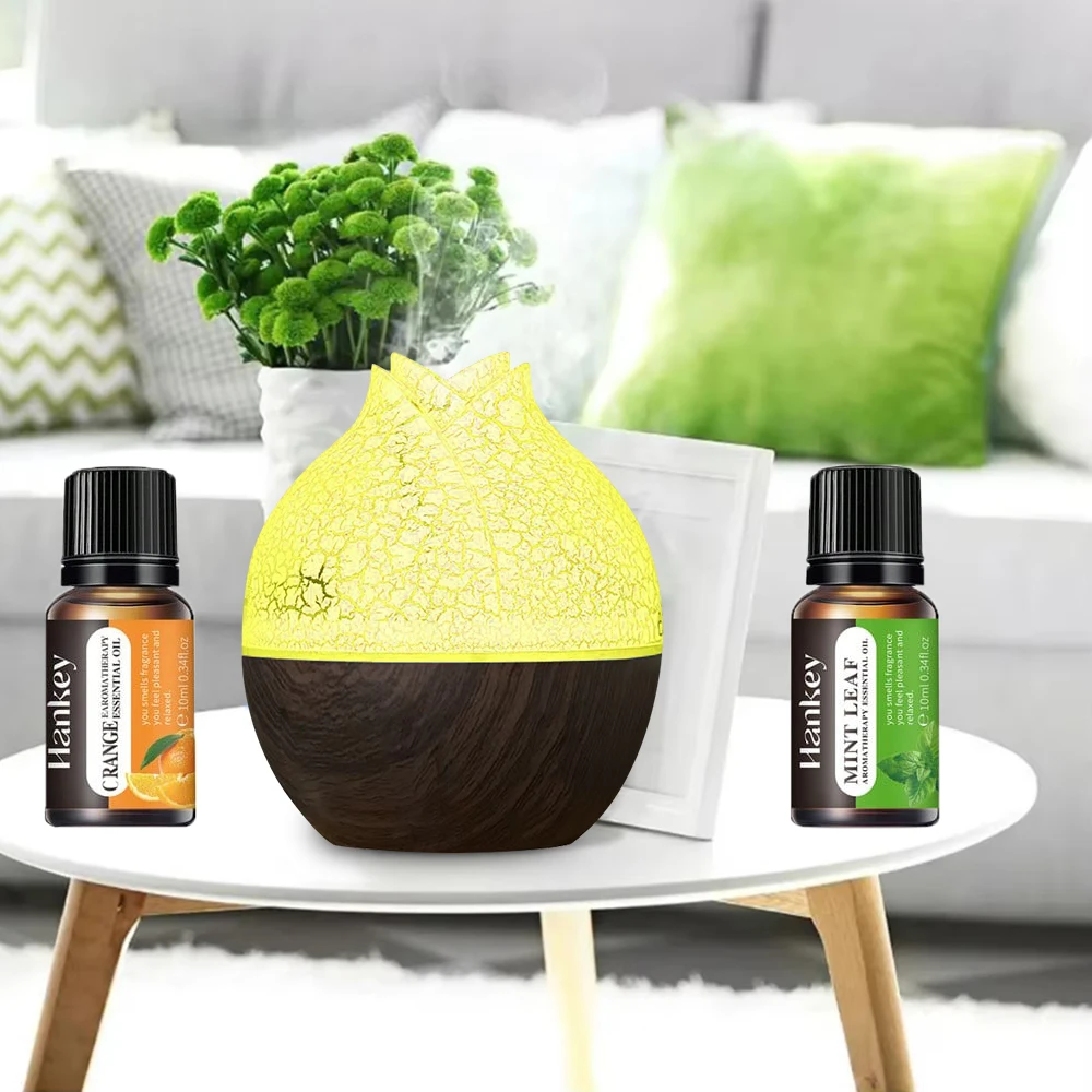 Ultimate Air Care Kit Humidifier + Essential Oil Diffuser + Color-Changing LED Lamp w/ USB Cable & User Guide
Ultimate Air Care Kit Humidifier + Essential Oil Diffuser + Color-Changing LED Lamp w/ USB Cable & User Guide