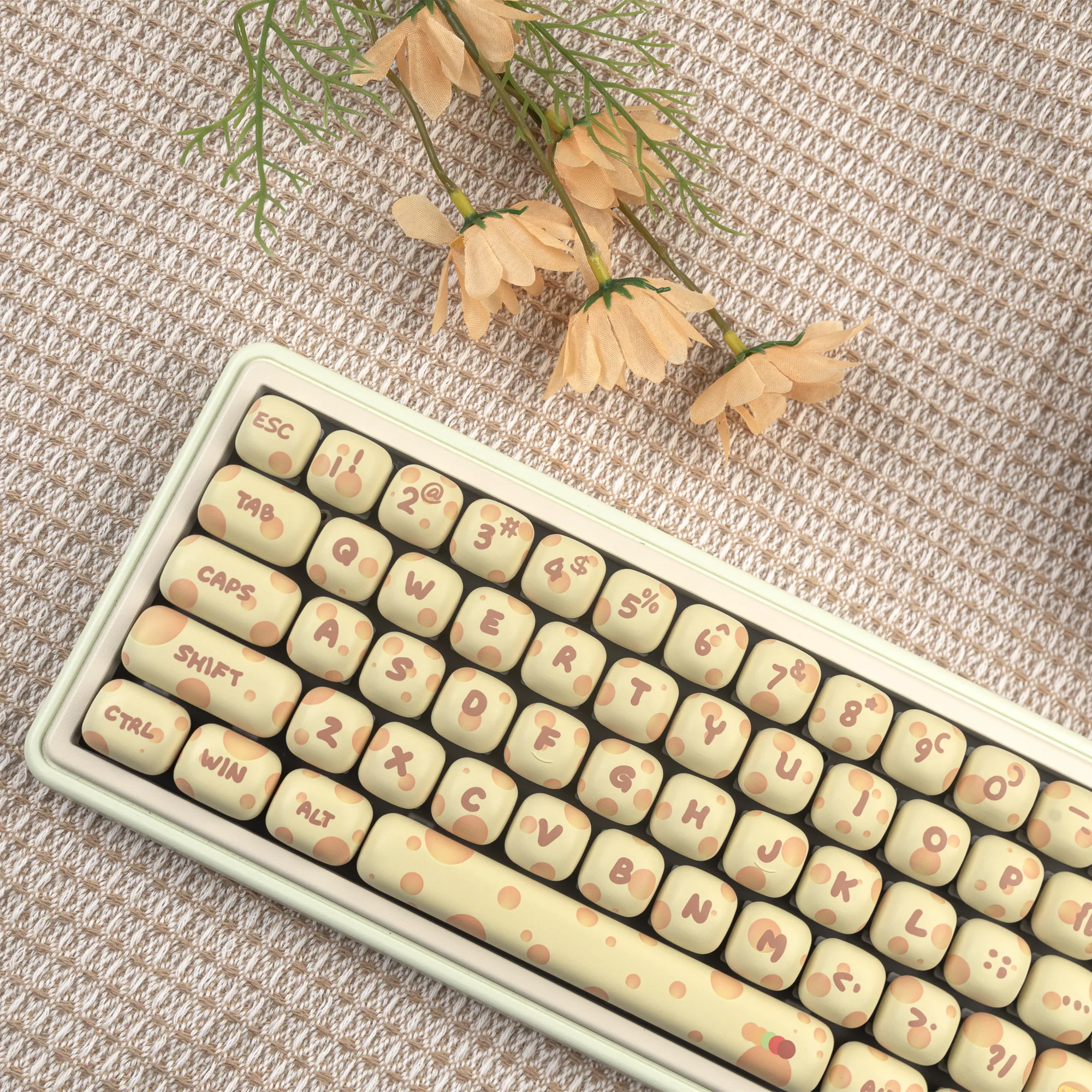 JCM Cheese Keycaps Pbt Big Set 5-Dye-Sub MOG Cherry для механической клавиатуры Hi75, милые колпачки для клавиш по индивидуальному заказу, подарок
JCM Cheese Keycaps Pbt Big Set 5-Dye-Sub MOG Cherry для механической клавиатуры Hi75, милые колпачки для клавиш по индивидуальному заказу, подарок