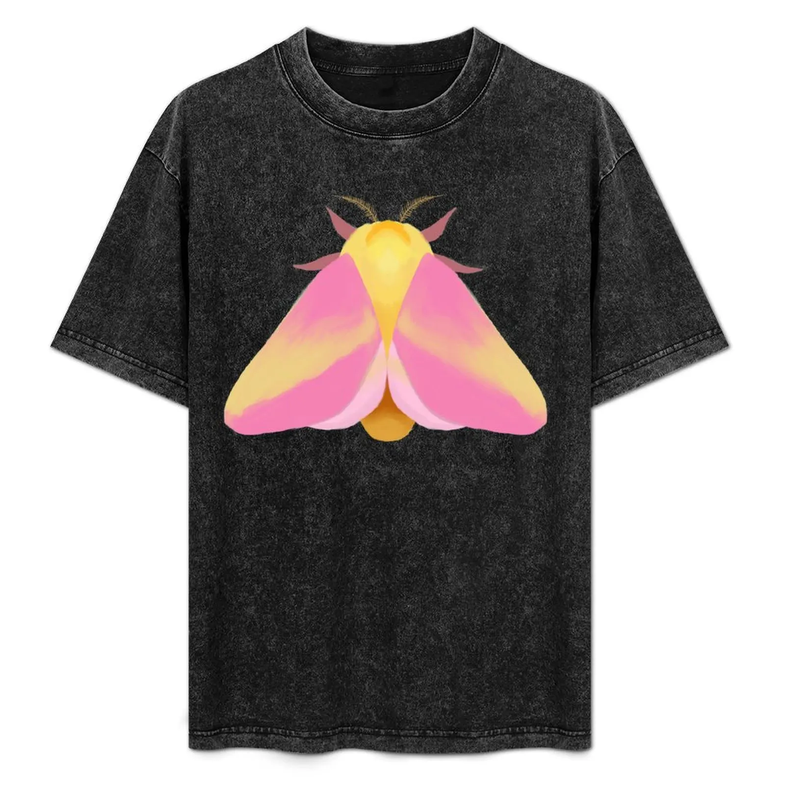 Rosy Maple Moth T-Shirt Plus Size Summer Short Sleeve T-Shirt
Rosy Maple Moth T-Shirt Plus Size Summer Short Sleeve T-Shirt