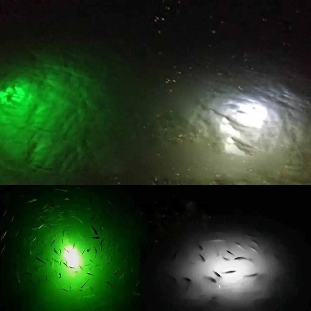 LED Deep Drop Underwater Fishing Light Diamond Shap Auto Lure Squid Strobe
LED Deep Drop Underwater Fishing Light Diamond Shap Auto Lure Squid Strobe