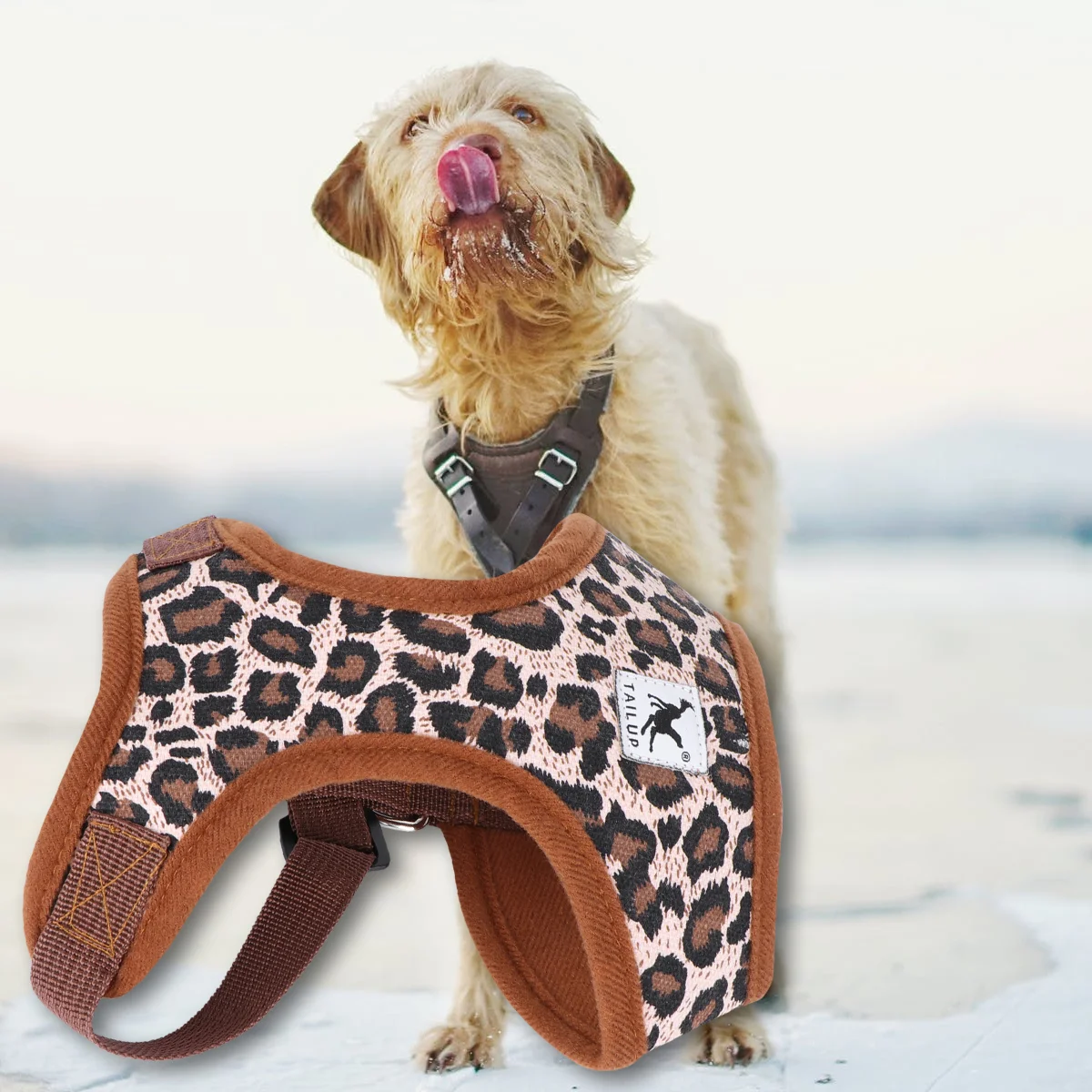 Camouflage Canvas Dog Size L Adjustable Chest Belt Quick Release Buckle Design Comfortable Neck Padding Easy
Camouflage Canvas Dog Size L Adjustable Chest Belt Quick Release Buckle Design Comfortable Neck Padding Easy