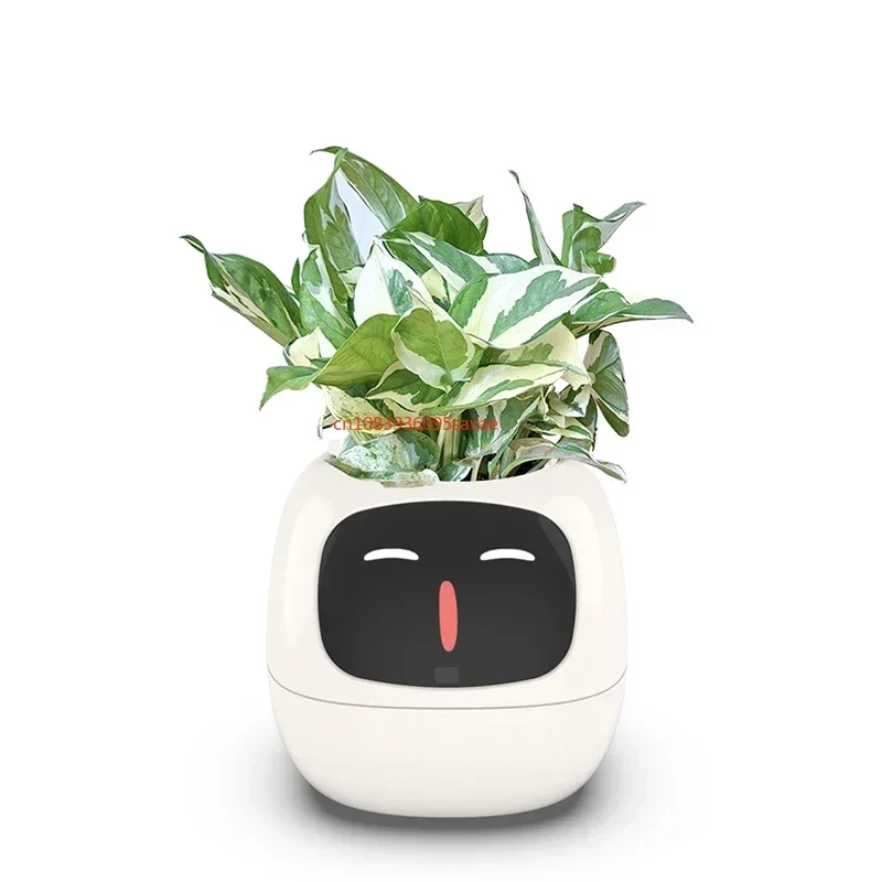 Home Garden Flower Pots Creative interaction mini smart garden indoor Smart flower planter APP Internet control Flowerpot
Home Garden Flower Pots Creative interaction mini smart garden indoor Smart flower planter APP Internet control Flowerpot
