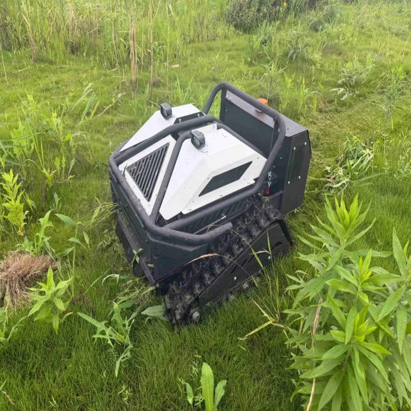 Hot Selling 2026 New GRACE 550mm Pro Remote Control RC Lawn Mower Home Backyard Grass Cutter Free Shipping
Hot Selling 2026 New GRACE 550mm Pro Remote Control RC Lawn Mower Home Backyard Grass Cutter Free Shipping