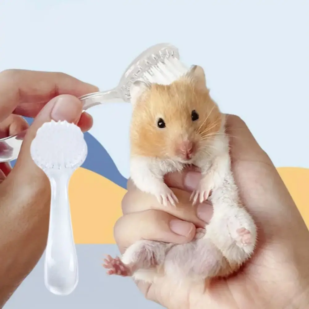 Soft Small Hamster Brush Round Head Plastic Golden Bear Cleaning Comb Long Hair Hamster Cleaning Brush Hedgehog Bathing Brush
Soft Small Hamster Brush Round Head Plastic Golden Bear Cleaning Comb Long Hair Hamster Cleaning Brush Hedgehog Bathing Brush