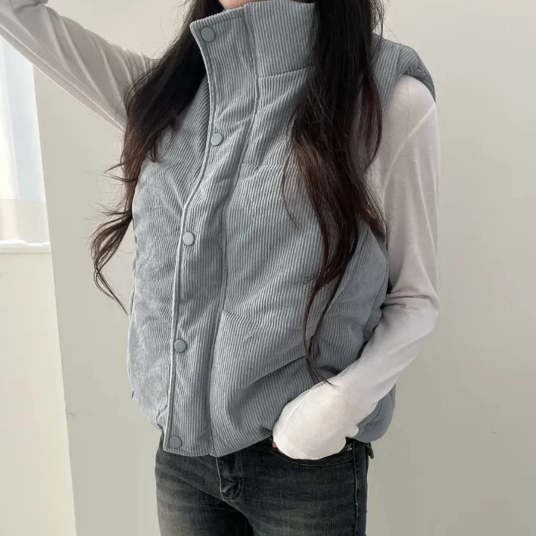 Шикарный осенне-зимний вельветовый жилет с воротником-стойкой, теплый пуховик, корейская женская хлопковая одежда
Шикарный осенне-зимний вельветовый жилет с воротником-стойкой, теплый пуховик, корейская женская хлопковая одежда