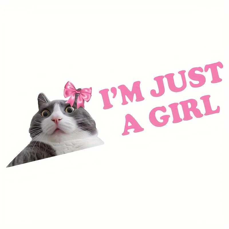 "I'm Just a Girl" Cat with Pink Bow Matte Vinyl Sticker, Irregular Shape, Durable for Laptops, Cars, Windows & More
"I'm Just a Girl" Cat with Pink Bow Matte Vinyl Sticker, Irregular Shape, Durable for Laptops, Cars, Windows & More