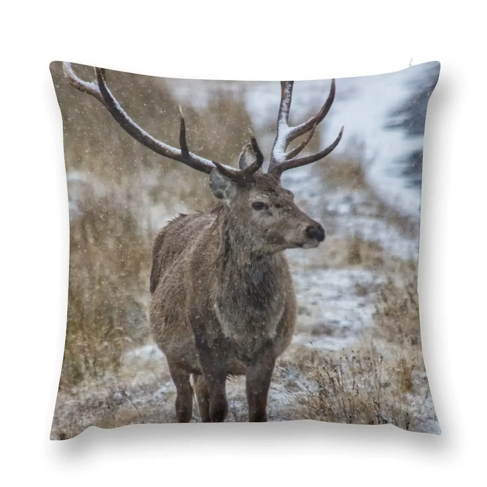 Twelve Pointed Stag in the Snow Throw Pillow Pillow Case Christmas anime girl Embroidered Cushion Cover pillow
Twelve Pointed Stag in the Snow Throw Pillow Pillow Case Christmas anime girl Embroidered Cushion Cover pillow