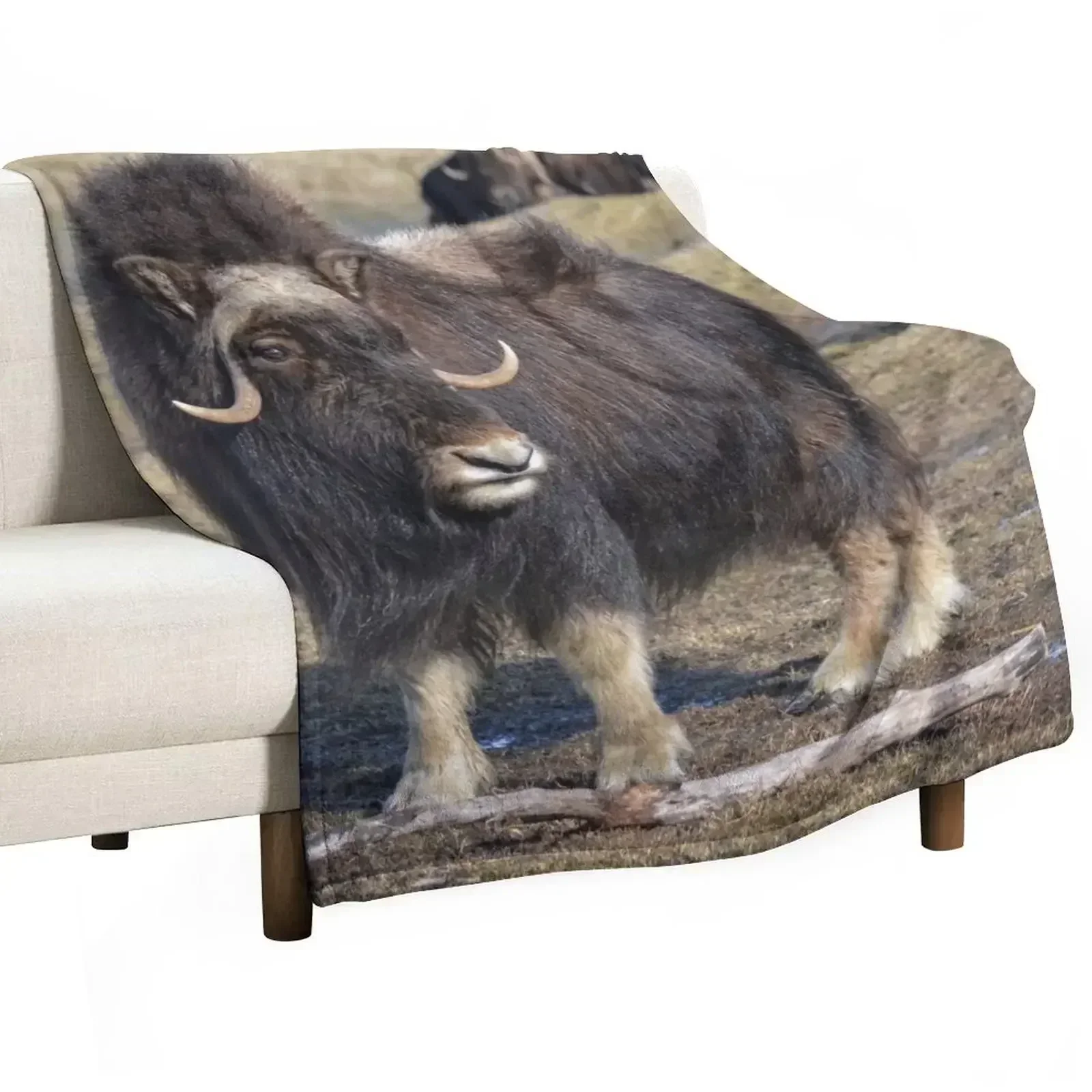 New Arctic Muskox Throw Blanket Faux Fur Soft Warm Blanket for Bed
New Arctic Muskox Throw Blanket Faux Fur Soft Warm Blanket for Bed