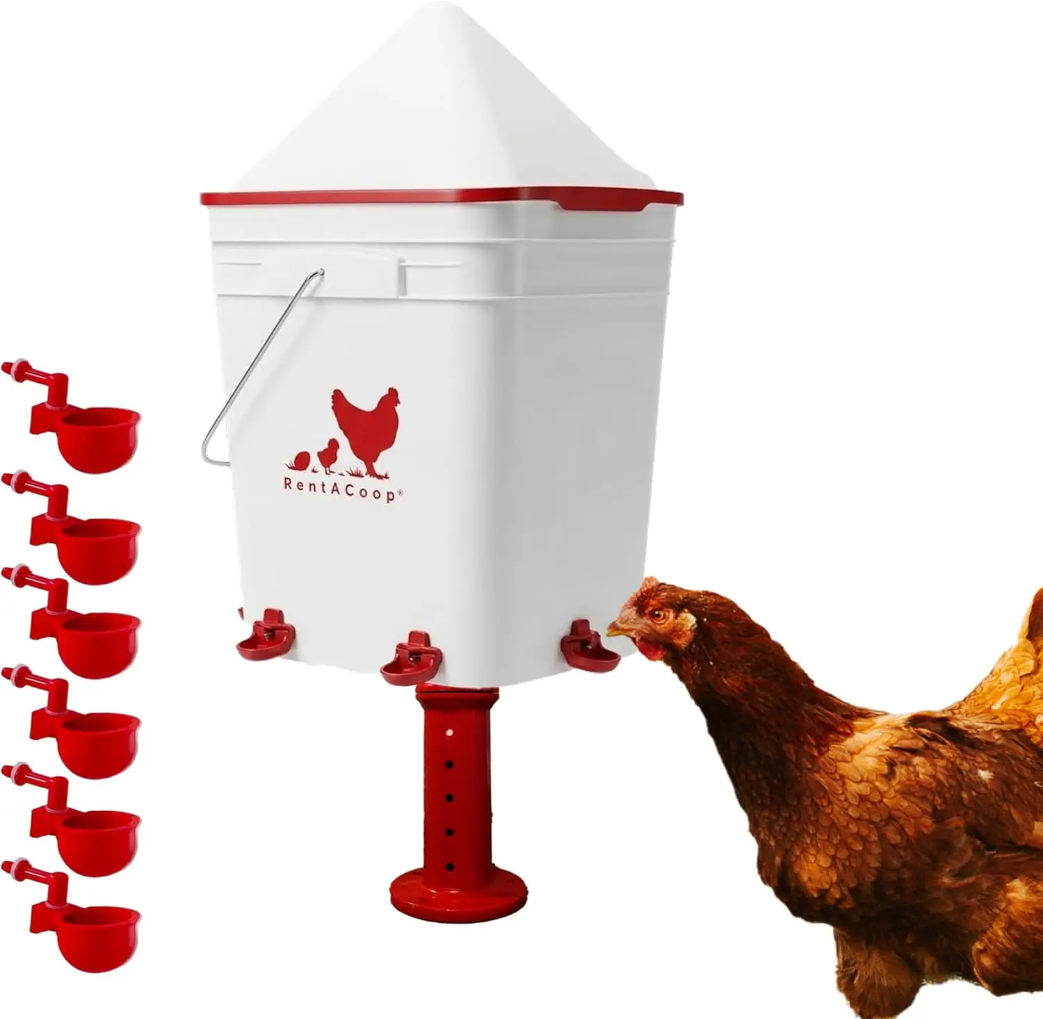 5 Gallon Chicken Waterer with Auto-Fill Cups & Adjustable Stand, BPA-Free Large Capacity Poultry Feeder
5 Gallon Chicken Waterer with Auto-Fill Cups & Adjustable Stand, BPA-Free Large Capacity Poultry Feeder