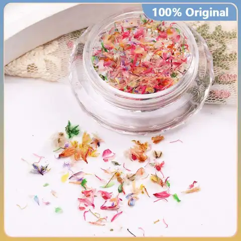 Mini Fleurs vaccées pour Nail Art, Mélange Artisanal en Résine, Breloques à Pression, Accessoires d'Été, 1Pot