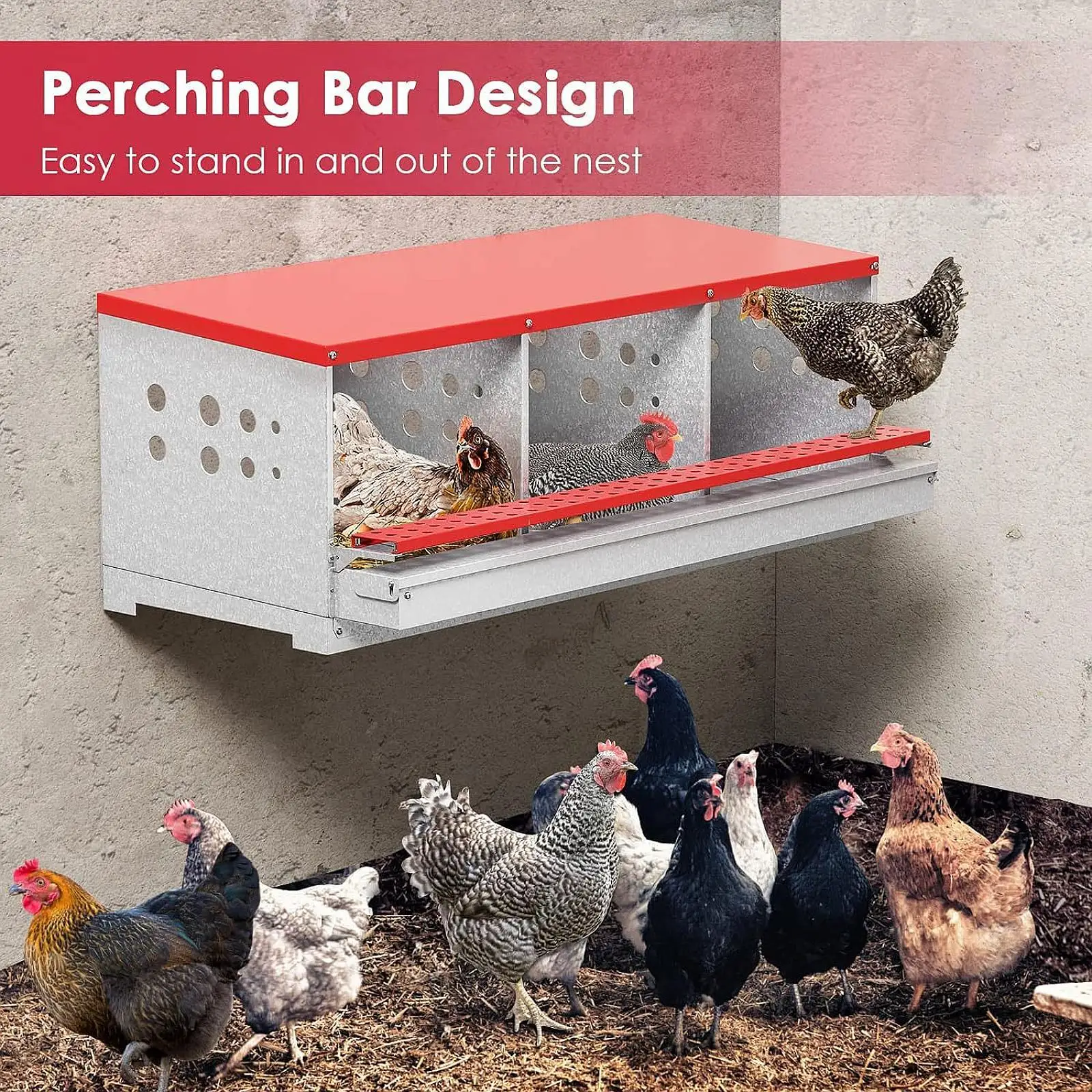 Hen Egg Laying Nest Box Egg Laying Box Poultrys Nest Heavy Duty Duck Goose Breeding Box Hen Nest Box for Laying Egg Duck Farm
Hen Egg Laying Nest Box Egg Laying Box Poultrys Nest Heavy Duty Duck Goose Breeding Box Hen Nest Box for Laying Egg Duck Farm