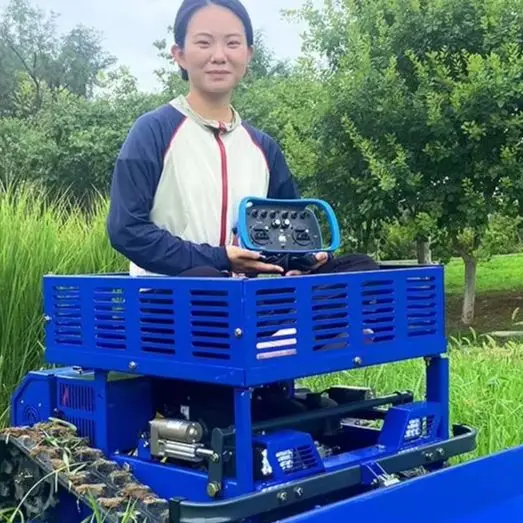 Customized intelligent tracked lawn mower with storage rack, cutting width 550mm, used for garden care
Customized intelligent tracked lawn mower with storage rack, cutting width 550mm, used for garden care