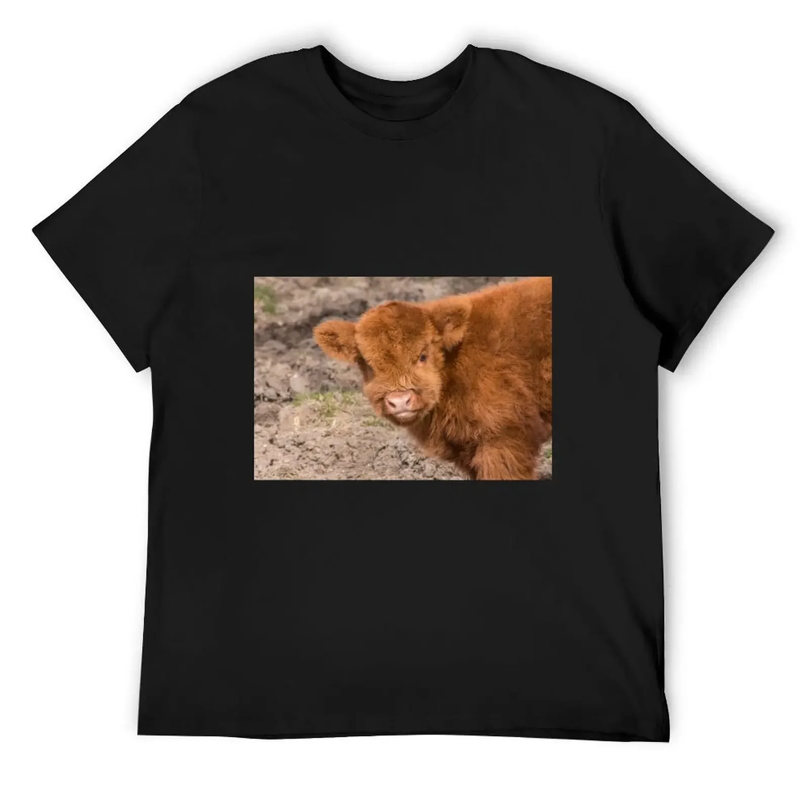 Scottish Highland baby coo T-Shirt customs design your own boys animal print customs blue lock t shirt men 100℅ cotton
Scottish Highland baby coo T-Shirt customs design your own boys animal print customs blue lock t shirt men 100℅ cotton