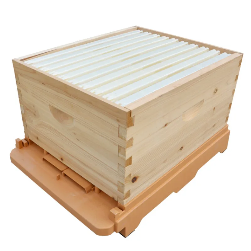 Multifunctional Plastic Beehive Bottom Board Base Stand Beekeeping Equipment For Bee Hive
Multifunctional Plastic Beehive Bottom Board Base Stand Beekeeping Equipment For Bee Hive