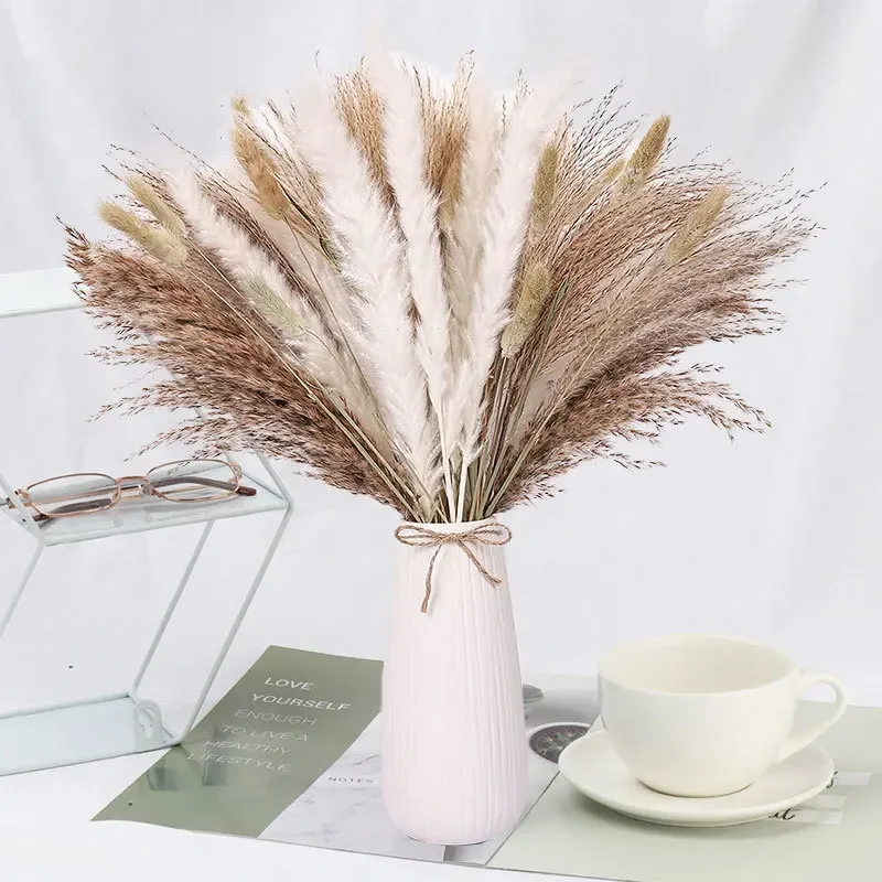 60-85Pcs Pampas Dried Flowers Natural Preserved Wedding Decoration Christma Halloween Supplies Boho Home Decor Artificial Flower
60-85Pcs Pampas Dried Flowers Natural Preserved Wedding Decoration Christma Halloween Supplies Boho Home Decor Artificial Flower