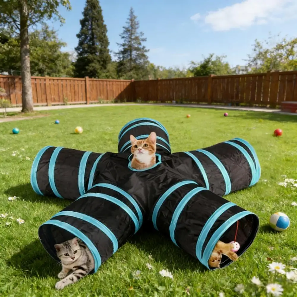 Интерактивный складной туннель для кошек, игрушка для дрессировки домашних животных, прочная игровая игрушка для котят и щенков в помещении и на открытом воздухе
Интерактивный складной туннель для кошек, игрушка для дрессировки домашних животных, прочная игровая игрушка для котят и щенков в помещении и на открытом воздухе