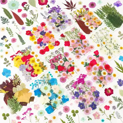420 Pcs Dried Pressed Flowers for Resin,Real Nature Dried Flowers for Crafts Bulk Dry Flowers Leaves Kit Used for Resin Molds Sc