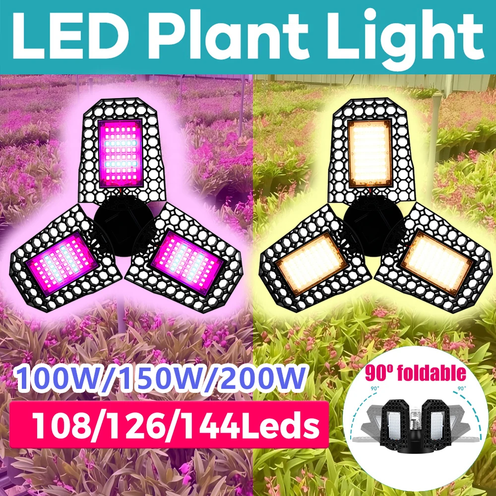 Светодиодная лампа для выращивания растений 200 Вт, деформируемая, для гидропоники, полный спектр, 3 панели, E27/E26
Светодиодная лампа для выращивания растений 200 Вт, деформируемая, для гидропоники, полный спектр, 3 панели, E27/E26
