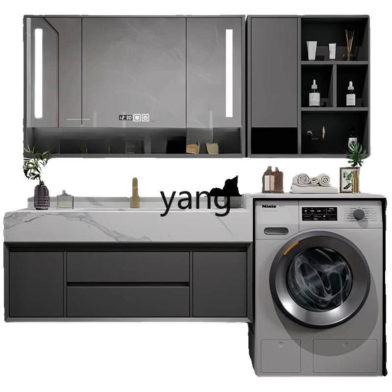 LTT washing machine integrated washbasin combined bathroom washbasin cabinet
LTT washing machine integrated washbasin combined bathroom washbasin cabinet