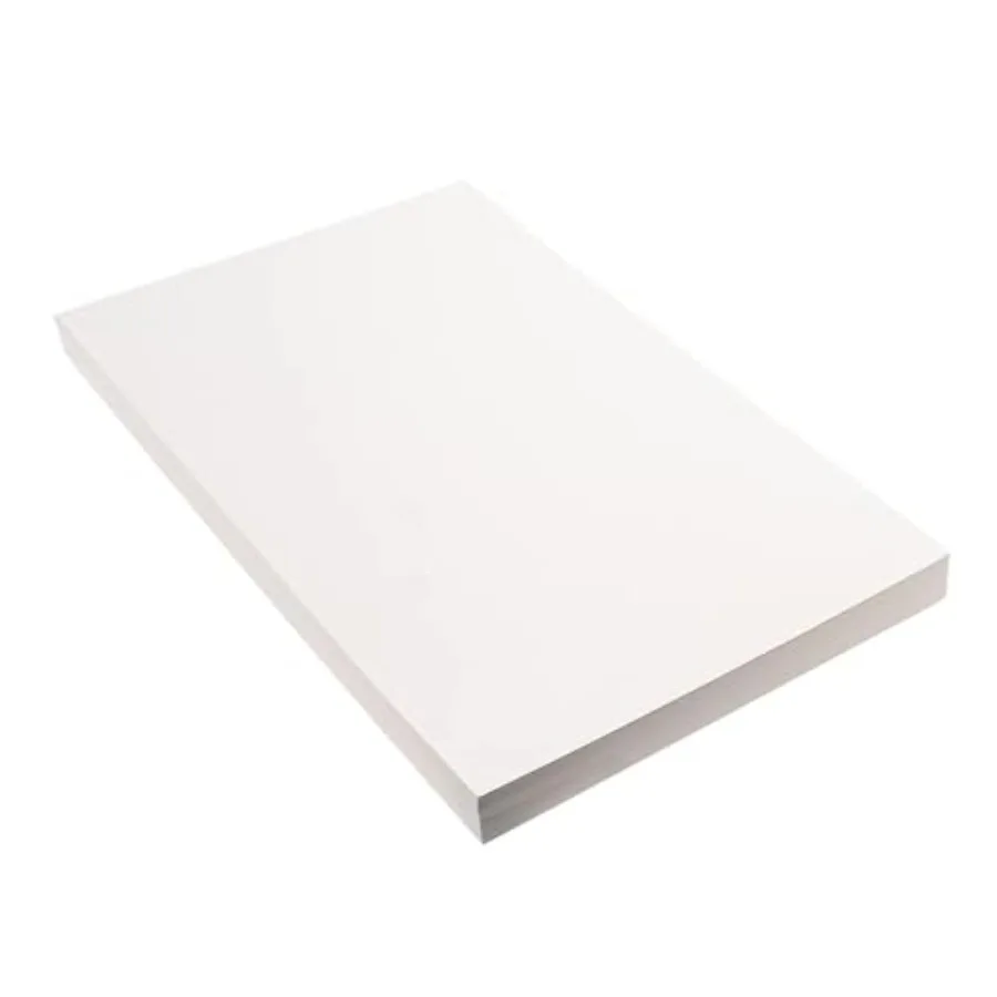 100 Sheets Art Paper 9" x 12" Craft Drawing Paper for Sketching, Loose Sketch Paper
100 Sheets Art Paper 9" x 12" Craft Drawing Paper for Sketching, Loose Sketch Paper