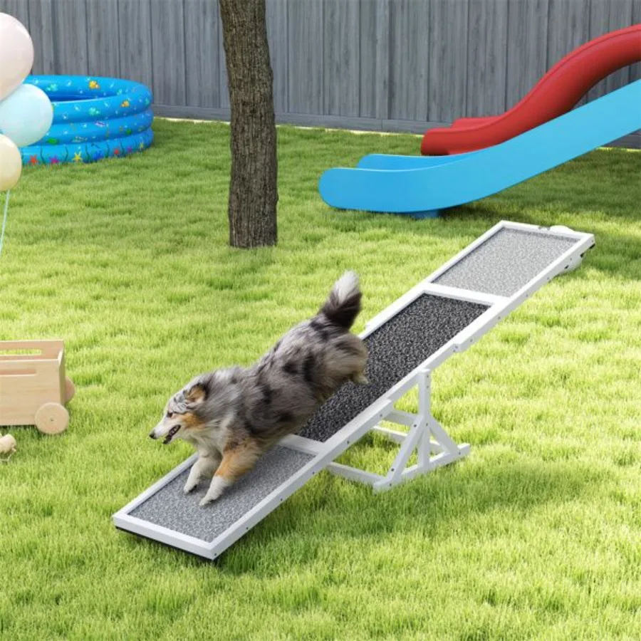 Dog Agility Ramp Pet Seesaw
Dog Agility Ramp Pet Seesaw