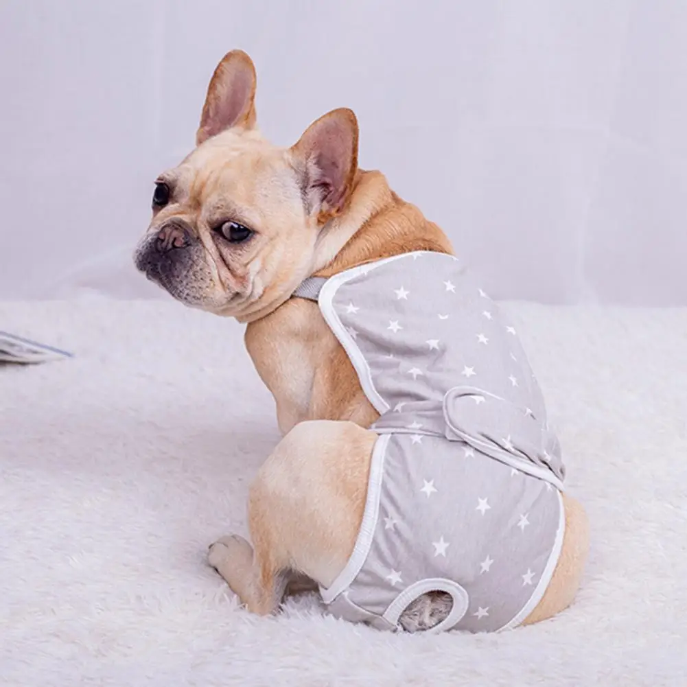Pet Short Pants Printing Design Health Care Washable Dog Diaper Pet Physiological Pants For Female Dogs Sanitary Physiological
Pet Short Pants Printing Design Health Care Washable Dog Diaper Pet Physiological Pants For Female Dogs Sanitary Physiological
