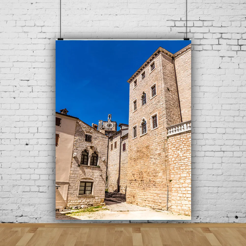 ZHISUXI Castle Palace Indoor Photography Background Newborn Child Portrait Birthday Photo Background Photo Gallery Props CB-02
ZHISUXI Castle Palace Indoor Photography Background Newborn Child Portrait Birthday Photo Background Photo Gallery Props CB-02