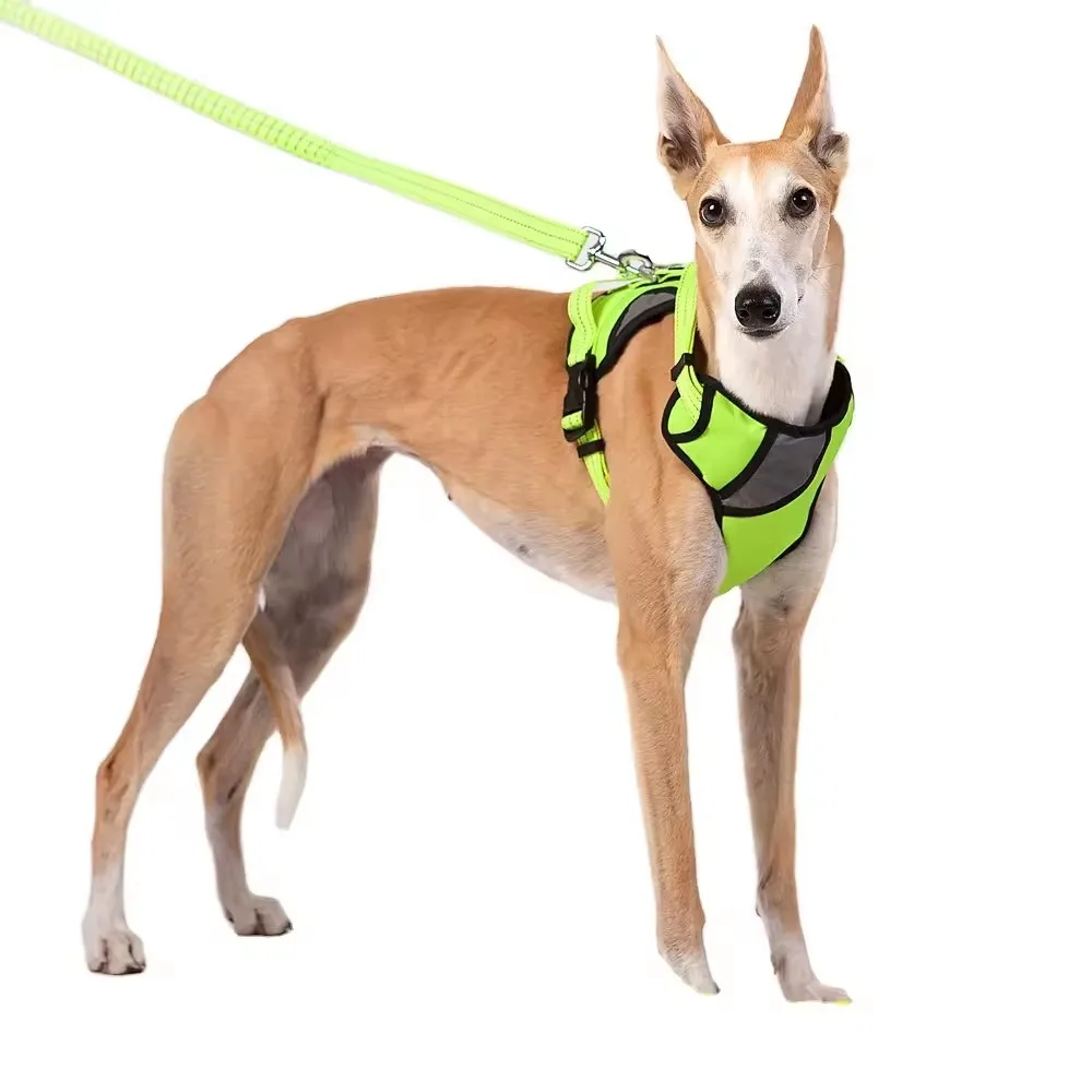 Reflective Large Dog Harness Vest For Medium Big Pet Animal French Bulldog Corgi Handle Adjustable Collar Walking Chest Strap
Reflective Large Dog Harness Vest For Medium Big Pet Animal French Bulldog Corgi Handle Adjustable Collar Walking Chest Strap