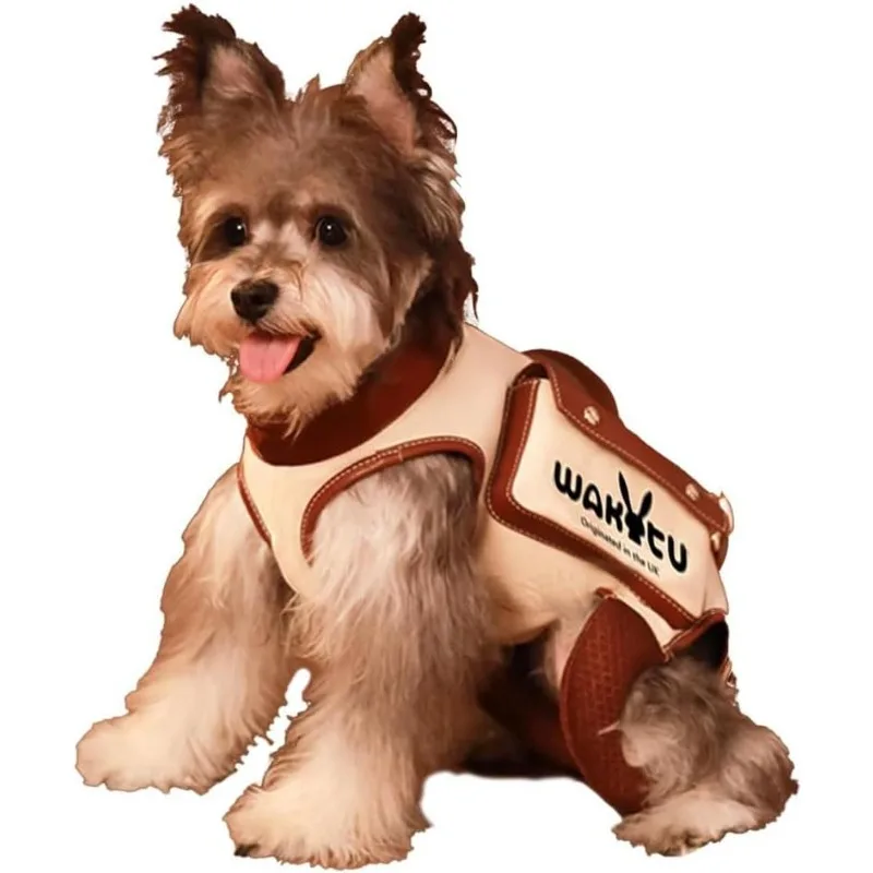 Собака Вакуytu работает с одним плечевым ремнем. Поводок. Рюкзак для кошек, переноска для домашних животных, дышащая и портативная сумка для собак на выходе.
Собака Вакуytu работает с одним плечевым ремнем. Поводок. Рюкзак для кошек, переноска для домашних животных, дышащая и портативная сумка для собак на выходе.