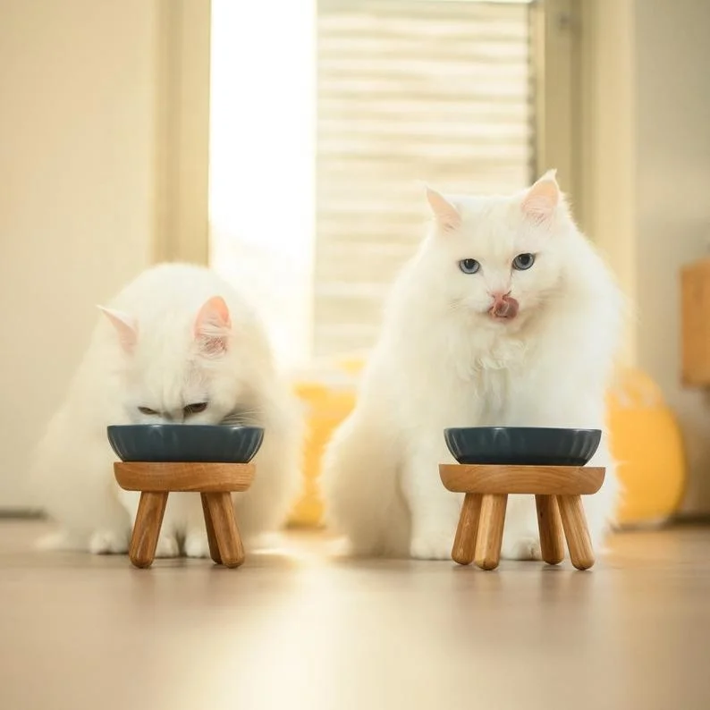 White OAK Elevated Cat Bowl Pet Feeding Stand Pet Bowl Stand
White OAK Elevated Cat Bowl Pet Feeding Stand Pet Bowl Stand