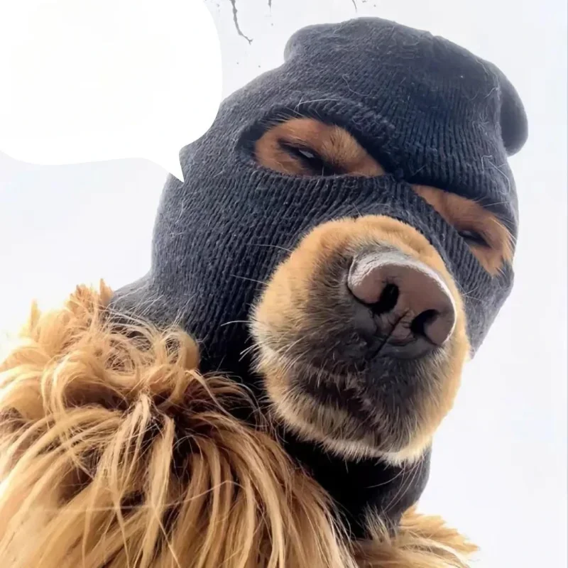 Pet Dog Black Head Cover Warm Mask Hat Toy Crossdressing Windproof Prop Dogs Tectum Cute Corgis Golden Retrieve Labrador Caps
Pet Dog Black Head Cover Warm Mask Hat Toy Crossdressing Windproof Prop Dogs Tectum Cute Corgis Golden Retrieve Labrador Caps