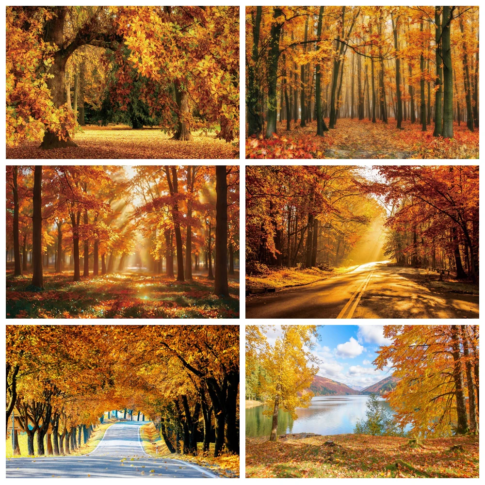 Autumn Forest Natural Scene Photography Backdrop Fall Maple Fallen Leaves Baby Birthday Portrait Decor Background Photo Studio
Autumn Forest Natural Scene Photography Backdrop Fall Maple Fallen Leaves Baby Birthday Portrait Decor Background Photo Studio