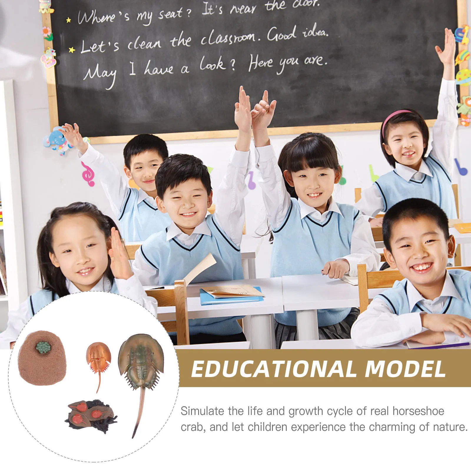 1Set Horseshoe Crab Educational Animal Display Desktop Decoration Kids Early Learning Science Cognition Animal Evolution 
1Set Horseshoe Crab Educational Animal Display Desktop Decoration Kids Early Learning Science Cognition Animal Evolution