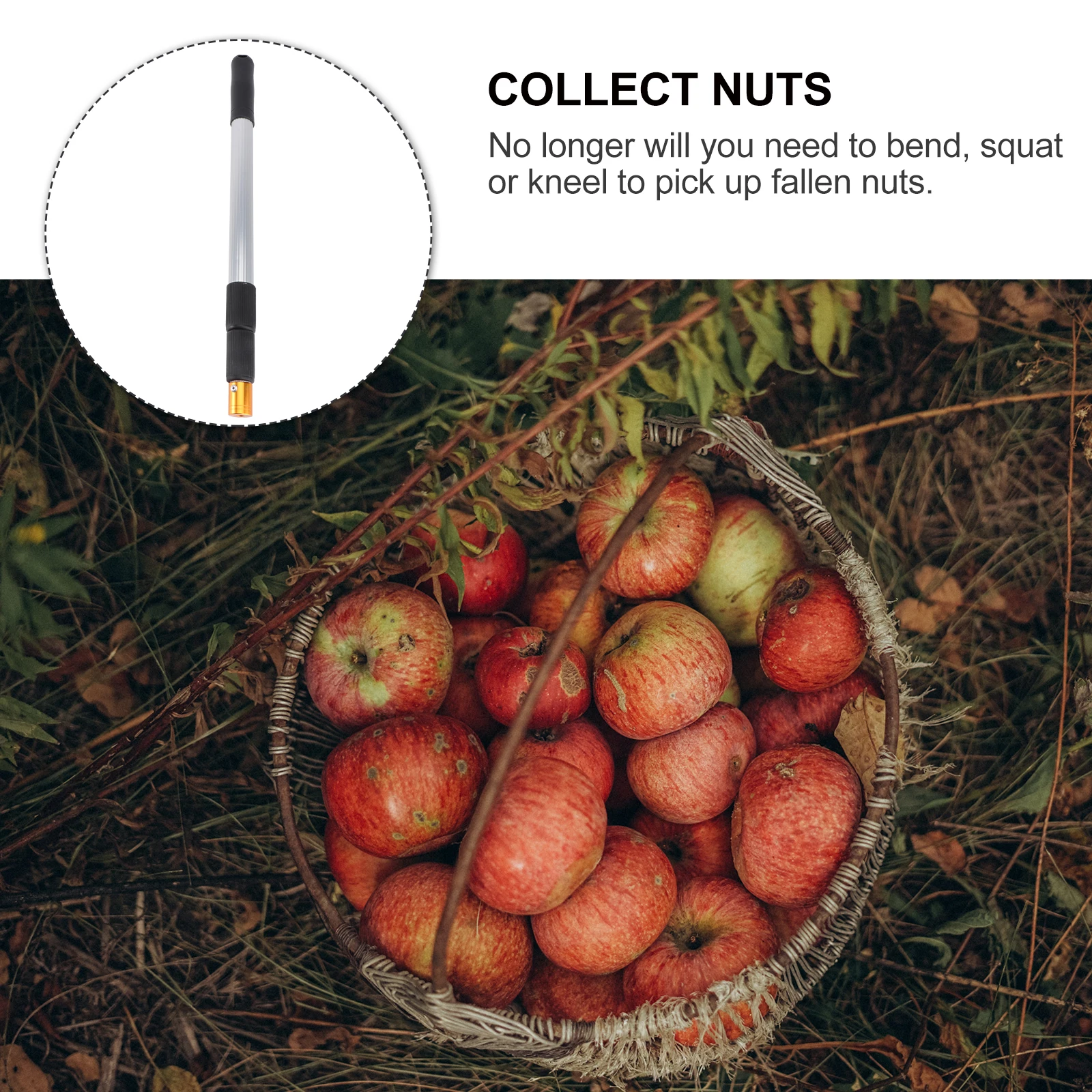 1 шт., телескопический стержень из алюминиевого сплава, портативный сборщик фруктов, роликовая щетка, эффективный сборщик гаек, портативный сборщик шариков
1 шт., телескопический стержень из алюминиевого сплава, портативный сборщик фруктов, роликовая щетка, эффективный сборщик гаек, портативный сборщик шариков