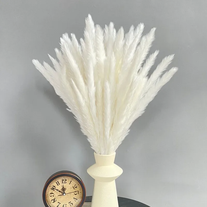 15PCSFluffy Pampas Grass Dry Plants Dekoration New Natural Reed Dried Flowers Home Wedding Decoration European And American Styl
15PCSFluffy Pampas Grass Dry Plants Dekoration New Natural Reed Dried Flowers Home Wedding Decoration European And American Styl