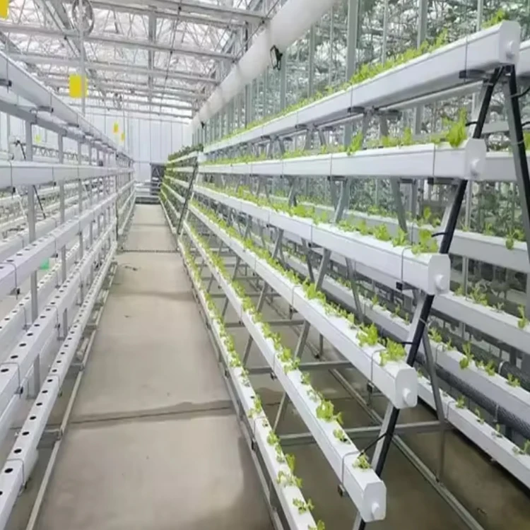 2025Agricultural Greenhouse Vertical Growing Strawberry Tower Hydroponic Floating Raft Reservoirs Farm Hydroponic Equipment
2025Agricultural Greenhouse Vertical Growing Strawberry Tower Hydroponic Floating Raft Reservoirs Farm Hydroponic Equipment