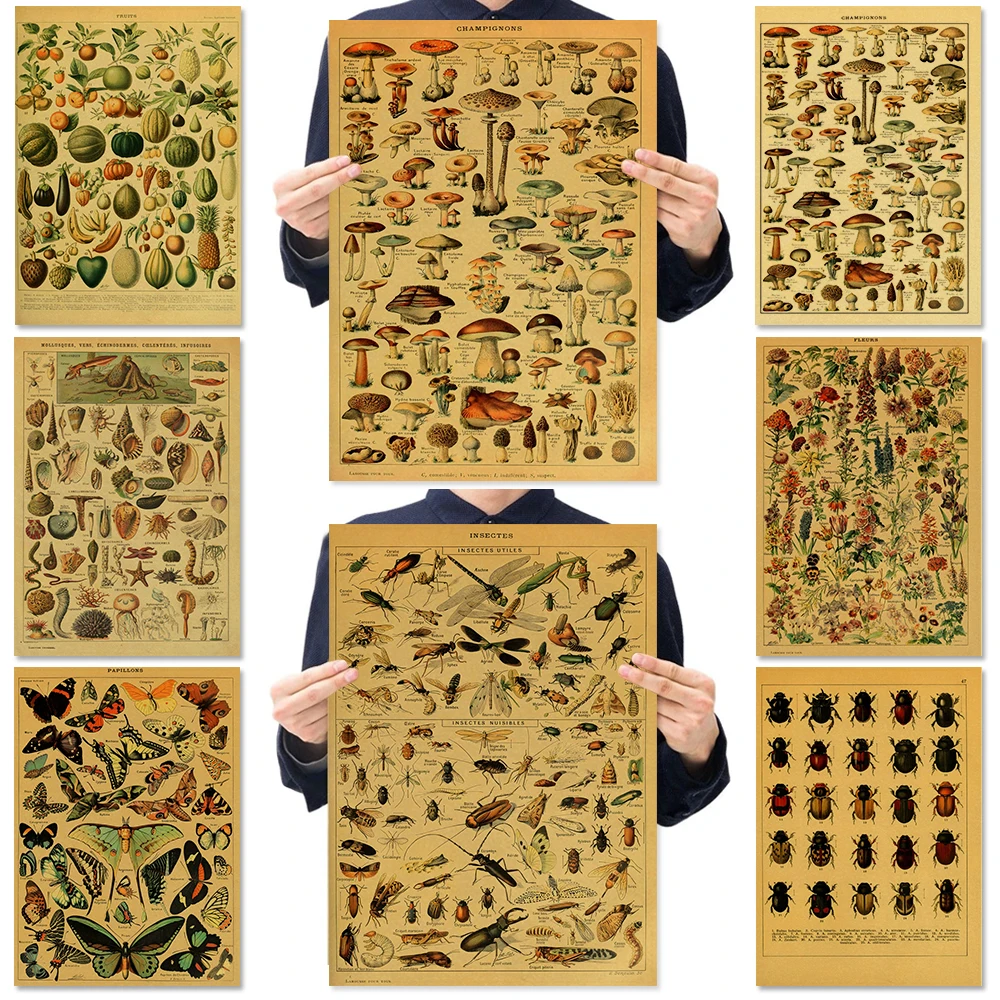 Insects Plants Animals Fruits Poster Plants Kraft Paper Posters Vintage Home Room Bar Cafe Decor Aesthetic Art Wall Painting
Insects Plants Animals Fruits Poster Plants Kraft Paper Posters Vintage Home Room Bar Cafe Decor Aesthetic Art Wall Painting