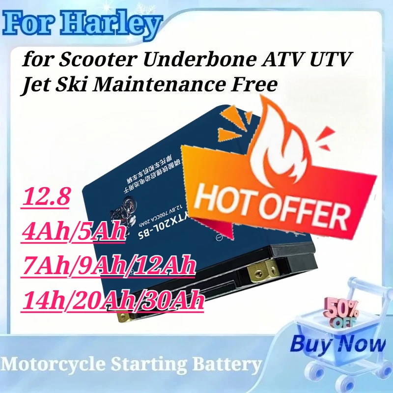 New 12V LiFePO4 Motorcycle Starter Battery 4Ah-30Ah Built-in BMS for Harley Scooter Underbone ATV UTV Jet Ski Maintenance Free
New 12V LiFePO4 Motorcycle Starter Battery 4Ah-30Ah Built-in BMS for Harley Scooter Underbone ATV UTV Jet Ski Maintenance Free
