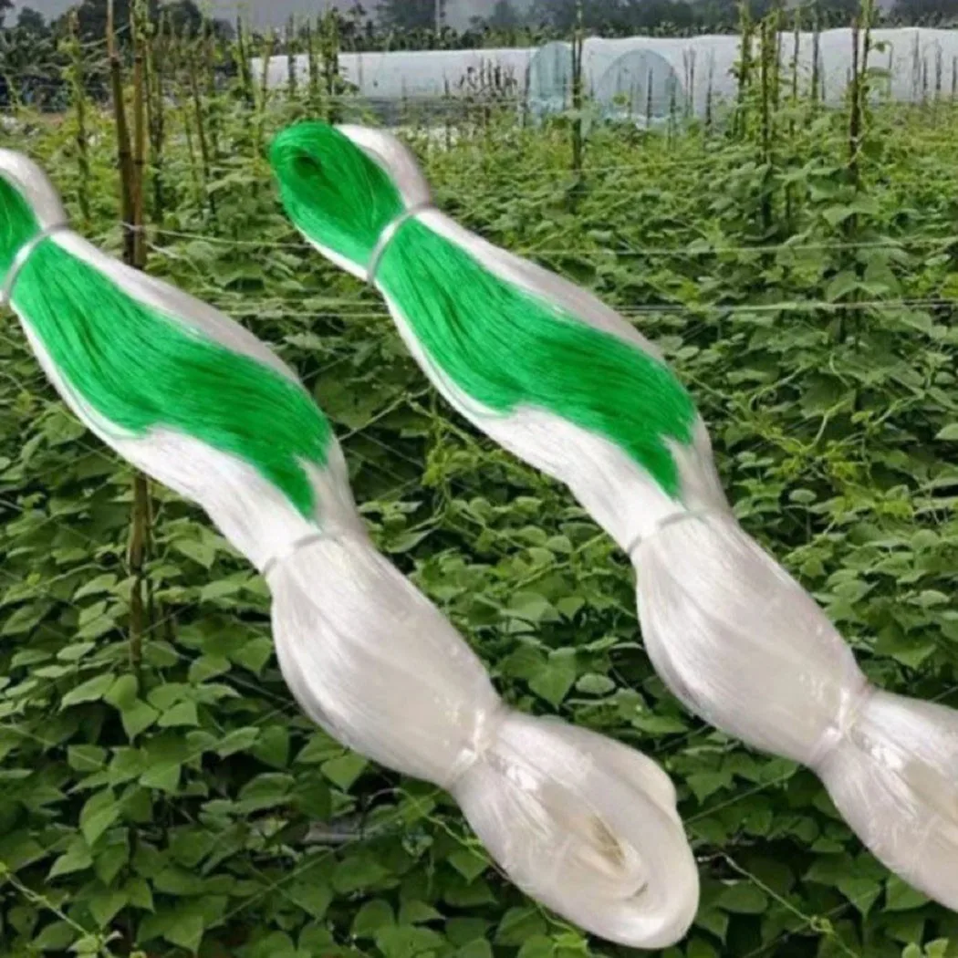2M X 100M Cucumber Net Suitable For Plant Support Climbing Multi Use Net Garden Fruit Plant Support Net Tools Supplies Net
2M X 100M Cucumber Net Suitable For Plant Support Climbing Multi Use Net Garden Fruit Plant Support Net Tools Supplies Net