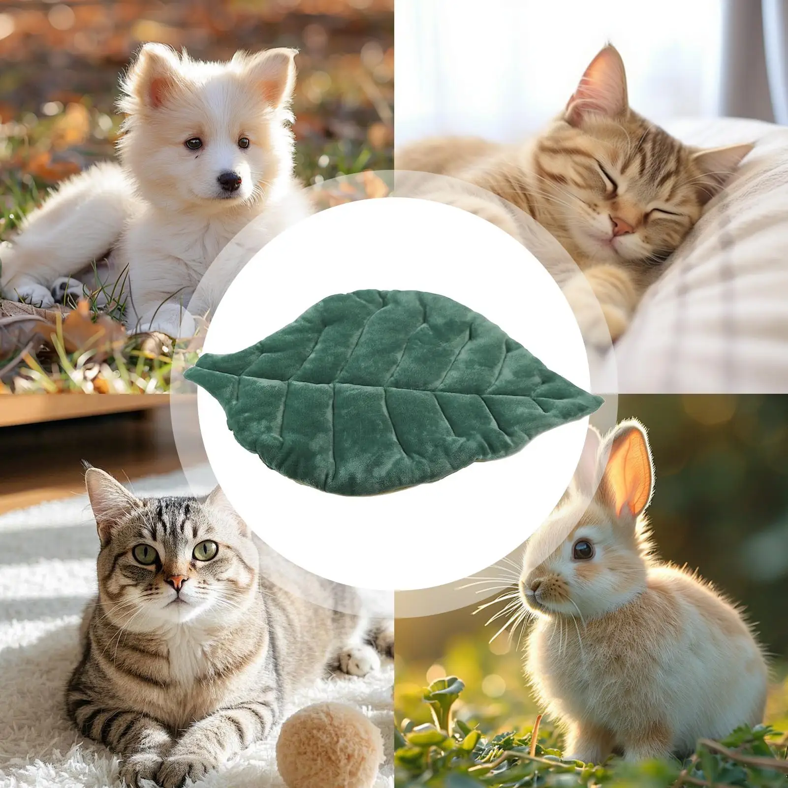 Подушка для кошачьей кровати, хлопковый коврик для кошек, маленькая подушка для кровати для домашних животных, моющаяся подушка с нескользящим дном для внутреннего и наружного пола, коробка для автомобильного сиденья
Подушка для кошачьей кровати, хлопковый коврик для кошек, маленькая подушка для кровати для домашних животных, моющаяся подушка с нескользящим дном для внутреннего и наружного пола, коробка для автомобильного сиденья