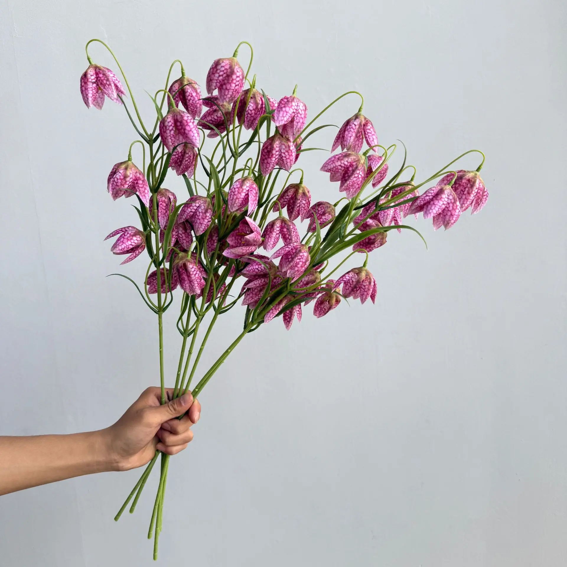 5Pcs Artificial Silk Flowers Caladium Flowers Wedding Decor Bridal Bouquet Accessories Fake Lily of The Valley Floral Home Decor
5Pcs Artificial Silk Flowers Caladium Flowers Wedding Decor Bridal Bouquet Accessories Fake Lily of The Valley Floral Home Decor
