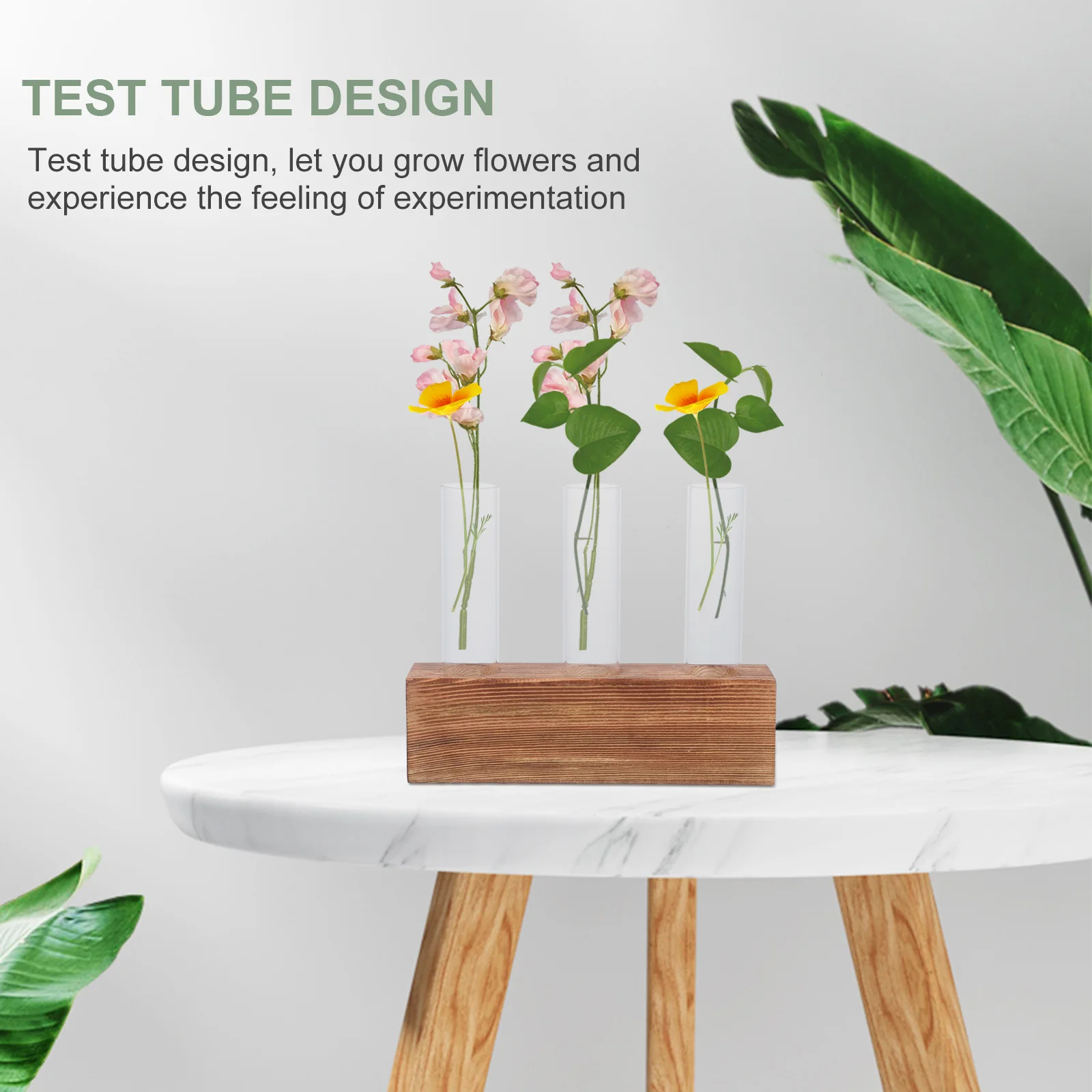 Growing Hydroponic Vase Desktop Stand Hydroponics Plants Planter Holder Wood Office Indoor
Growing Hydroponic Vase Desktop Stand Hydroponics Plants Planter Holder Wood Office Indoor